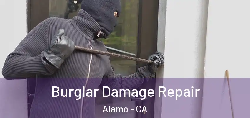  Burglar Damage Repair Alamo - CA