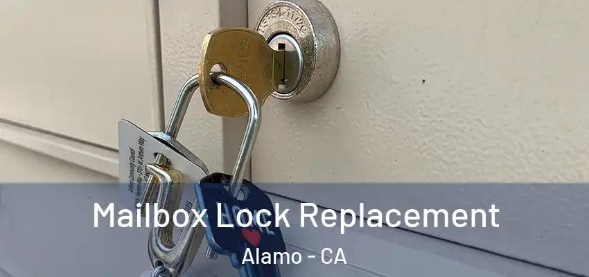  Mailbox Lock Replacement Alamo - CA